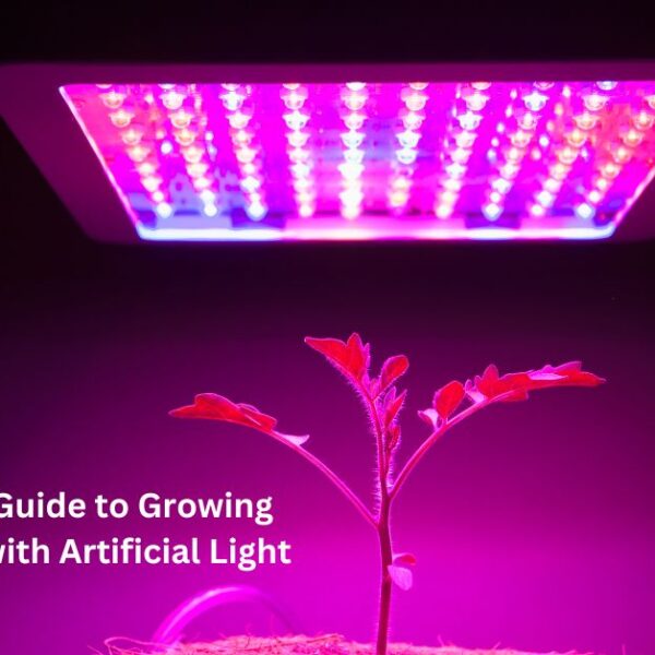 The Complete Guide to Growing Plants Indoors with Artificial Light