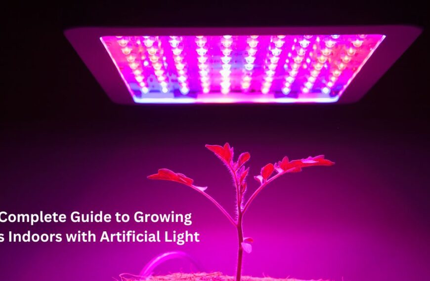 The Complete Guide to Growing Plants Indoors with Artificial Light