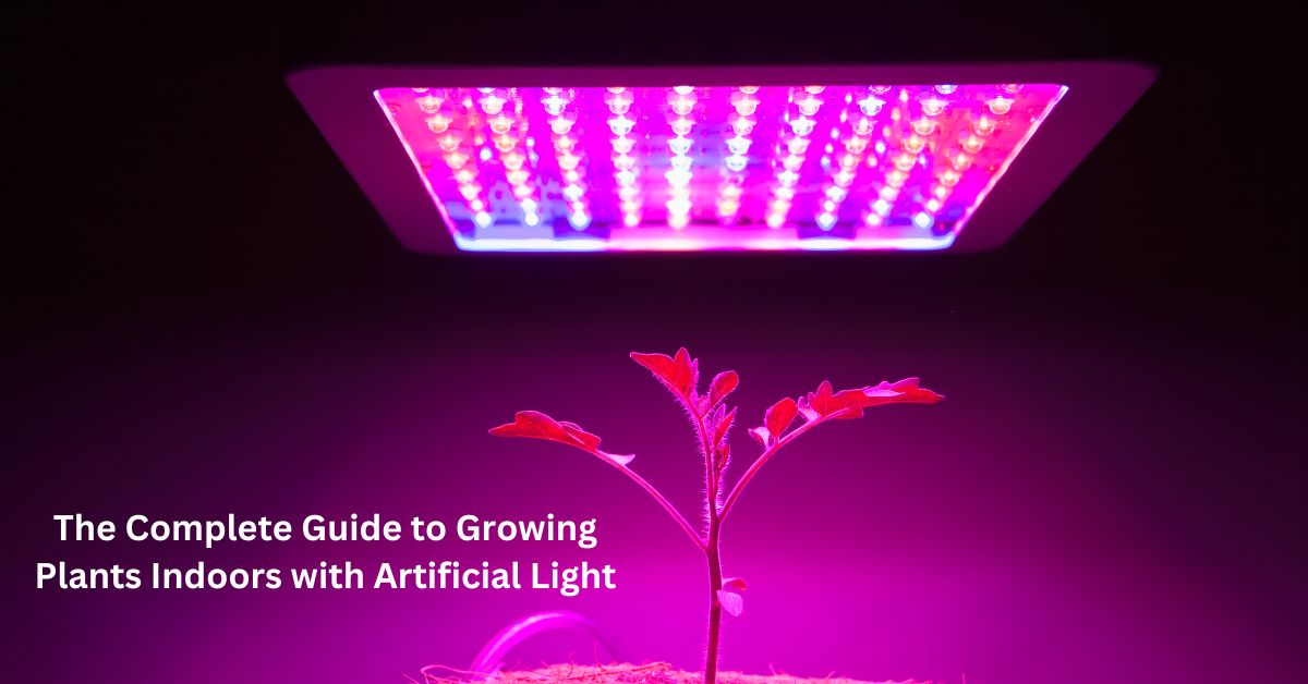 The Complete Guide to Growing Plants Indoors with Artificial Light